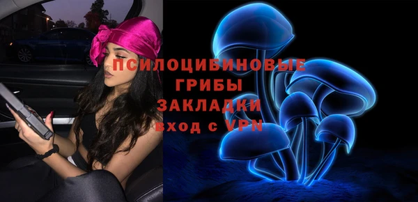 экстази Осташков