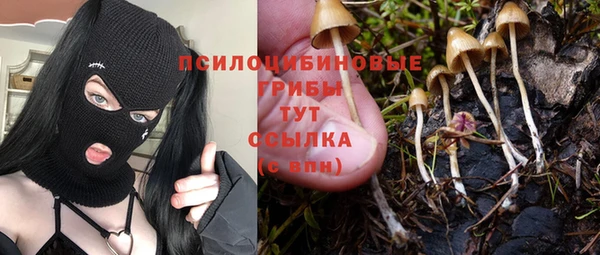 PSILOCYBIN Абаза