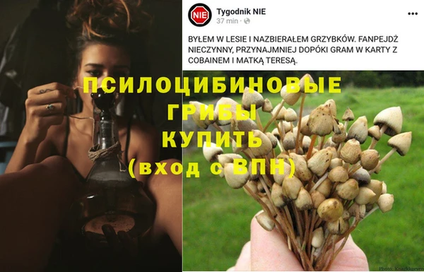 МДПВ Алексеевка