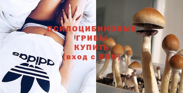 ПСИЛОЦИБИНОВЫЕ ГРИБЫ Остров