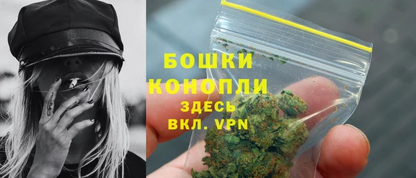 PSILOCYBIN Абаза