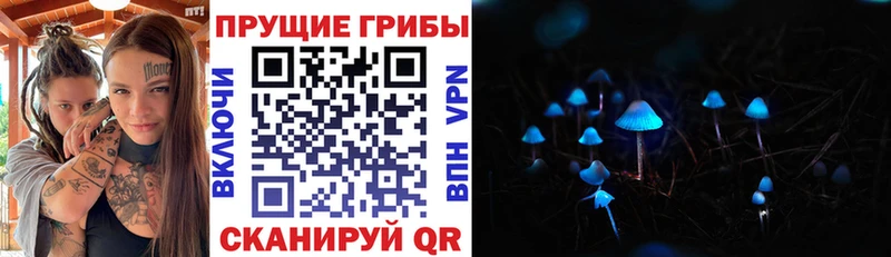 где можно купить наркотик  Тутаев  Псилоцибиновые грибы Psilocybine cubensis 
